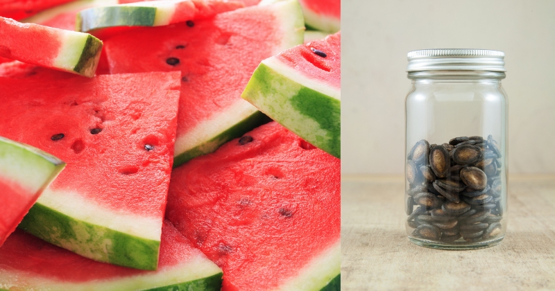 Benefits Of Watermelon Seeds In Hindi