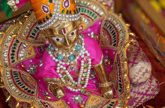 Rules To Keep Laddu Gopal At Home In Hindi