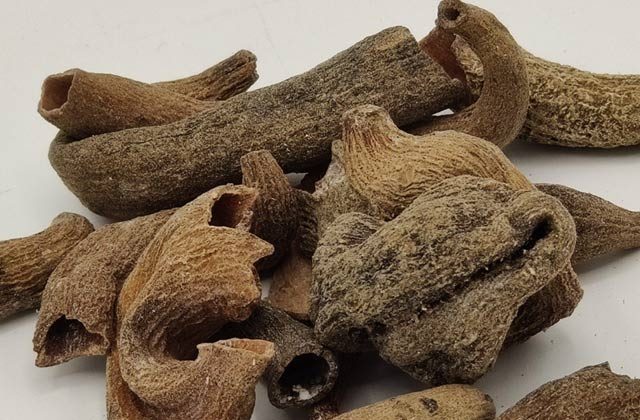 karkatshringi ke fayde