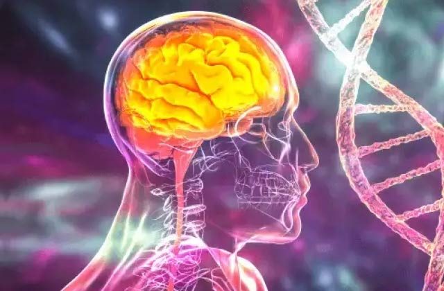 Neurological disorders kya hai