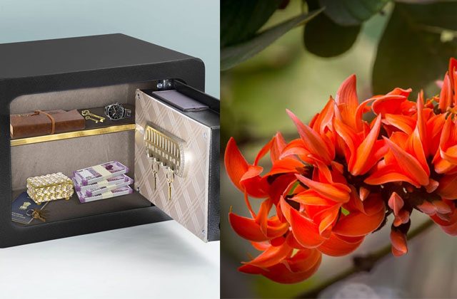 locker mein kaun sa phool rakhne se aata hai dhan