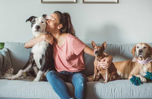 Monsoon Pet Care Guide in Hindi | How To Take Care of Dogs in Rainy Season